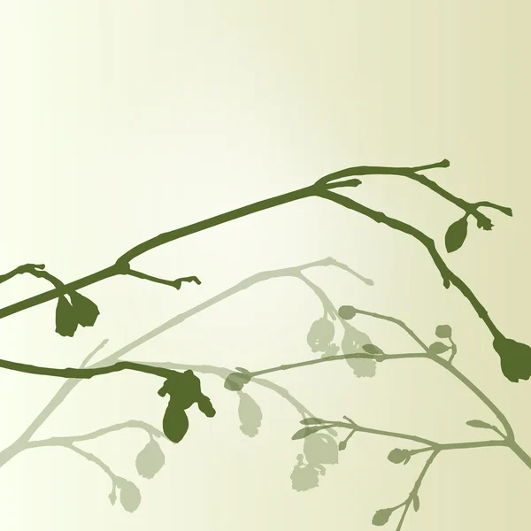 Gren gröna knoppar ekologi miljö våren vintage bak — Stock vektor