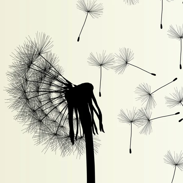 Abstract dandelion background vector Illustration spring — Stock Vector