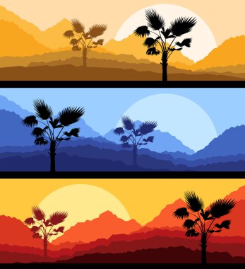 Doğa manzara romantik günbatımı arka plan palmiye yaprakları