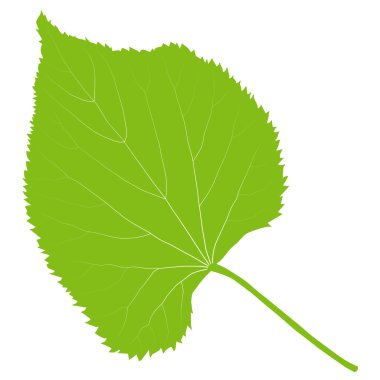 Ekoloji arka plan vektör yeşil yaprak çevre dostu