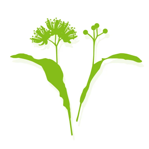 Linden blommor ekologi bakgrund vektor abstrakt — Stock vektor