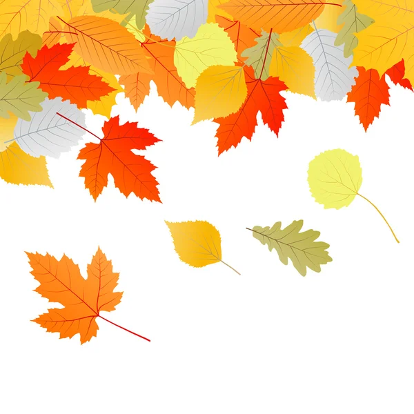 Őszi levelek vektor háttér — Stock Vector