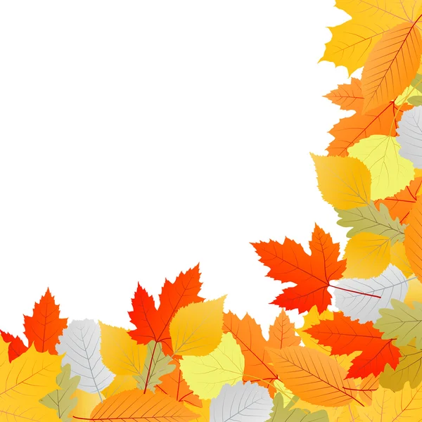 Autumn leaves background vector — Stock Vector