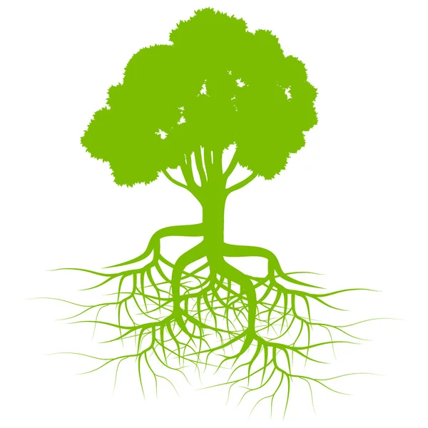 Árbol verde con raíces vector de fondo — Vector de stock