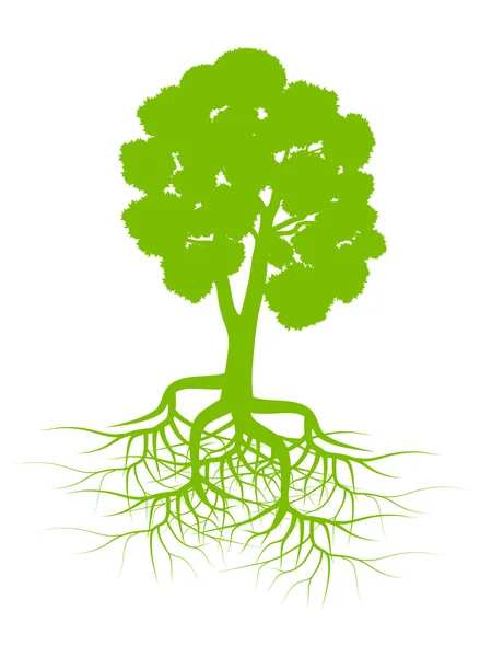 Grüner Baum mit Wurzeln Hintergrundvektor — Stockvektor