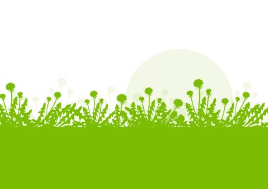 Dandelions çiçek vektör arka plan yeşil, Bahar yatay