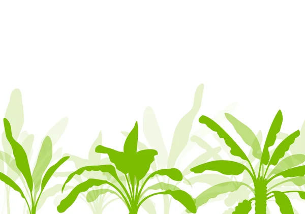 Árbol de plátano, fondo ecológico orgánico — Vector de stock