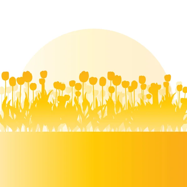 Tulpen voorjaar seizoensgebonden bloementuin ecologie concept gedetailleerde il — Stockvector