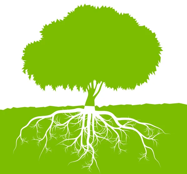 Árbol con raíces fondo ecología vector concepto — Vector de stock