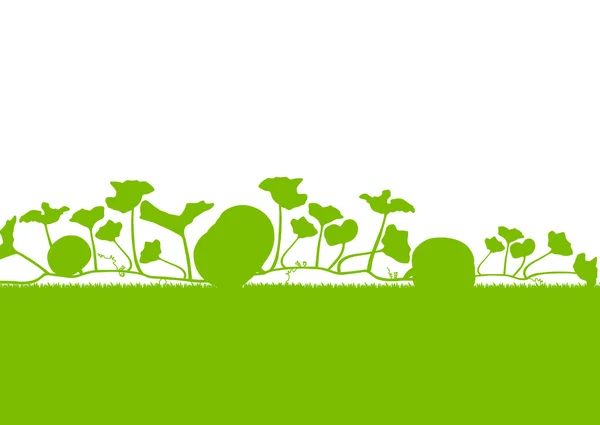 Plantas de abóbora campo vetor fundo ecologia verde conceito — Vetor de Stock