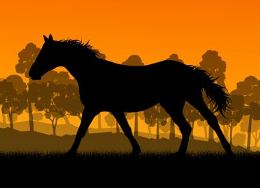 Doğa vektör arka plan manzara özgürlük kavramı içinde vahşi at