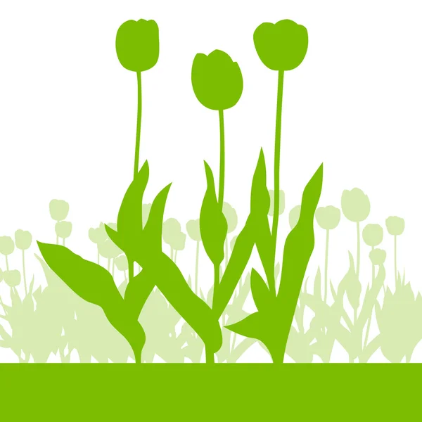 Tulips spring seasonal flower garden ecology concept detailed il — Stock Vector
