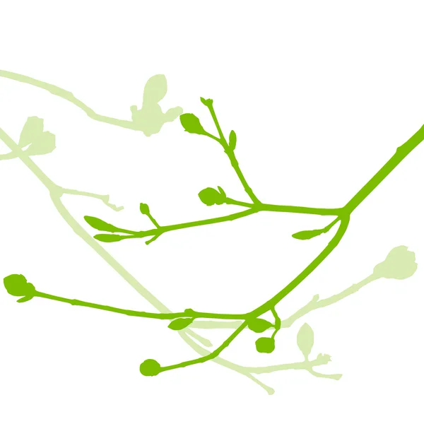 Brotes de primavera, hojas suaves y ramas vector de fondo ecolog — Vector de stock