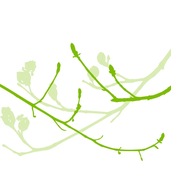 Spring buds, gentle leaves and branches vector background ecolog — Stock Vector