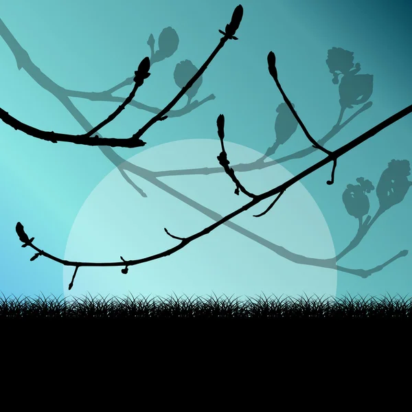 Trädgren med knoppar våren vektor bakgrund landskap — Stock vektor