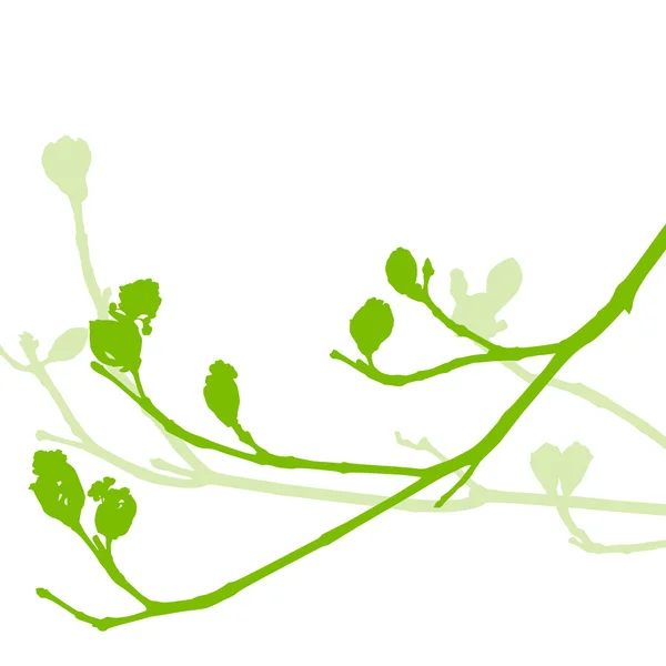 Spring buds, gentle leaves and branches vector background ecolog — Stock Vector