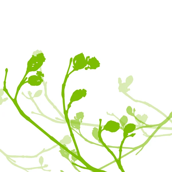 Brotes de primavera, hojas suaves y ramas vector de fondo ecolog — Vector de stock