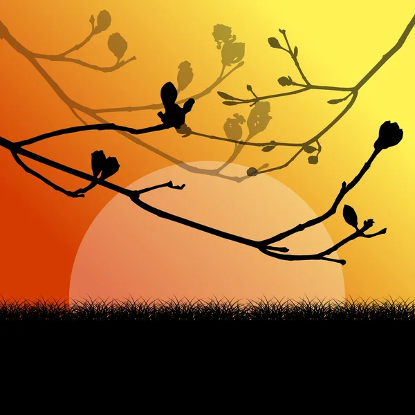 Гілка дерева з бутонами весняний весняний векторний фон пейзаж — стоковий вектор