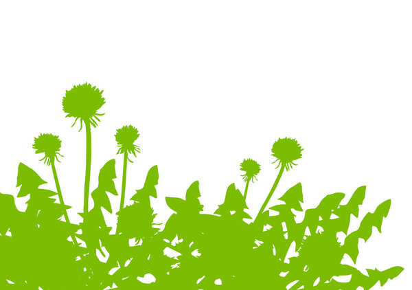 Dandelion green ecology concept field landscape background