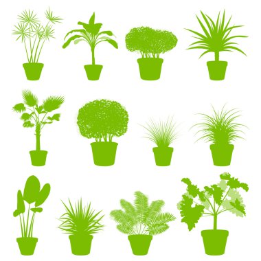 House indoor plants in pots set vector background green concept