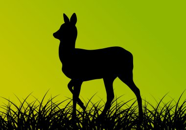 Deer doe in grass field vector background