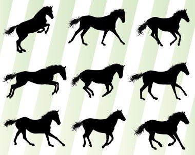 Wild horse fast and strong winner set concept vector clipart