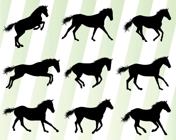 Wild horse fast and strong winner set concept vector — 图库矢量图片
