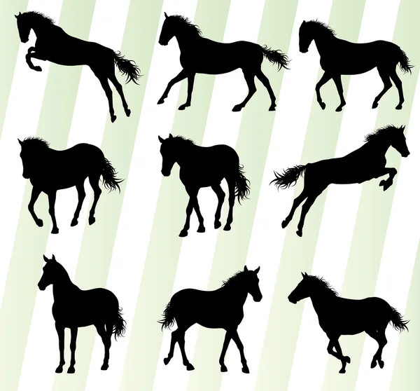 Wild horse fast and strong winner set concept vector — Stock vektor