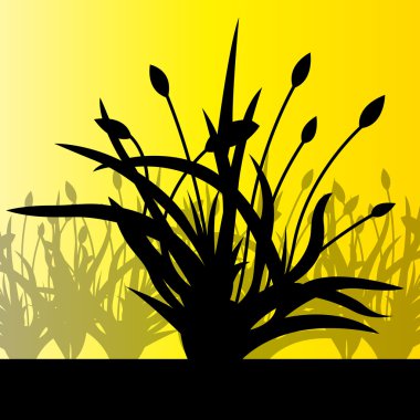 Lale alan vektör arka plan turuncu soyut kavram