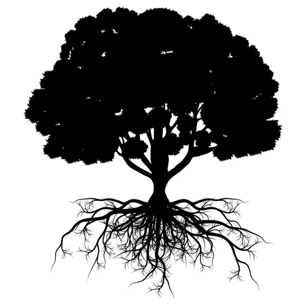 Árvore da vida vetor fundo abstrato forma árvore estilizada com —  Vetores de Stock