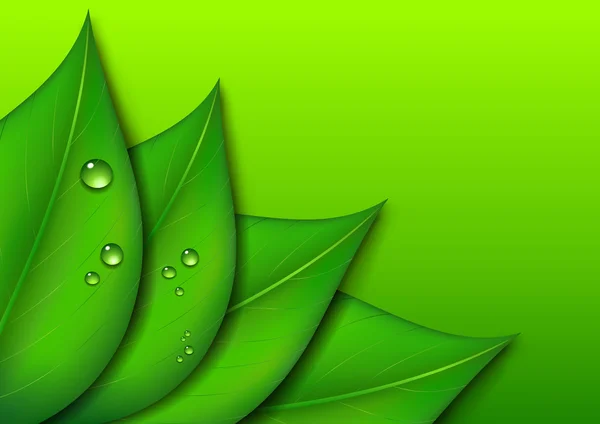 Zielony liść tło z kropli wody na zielony Gradient backgro — Wektor stockowy