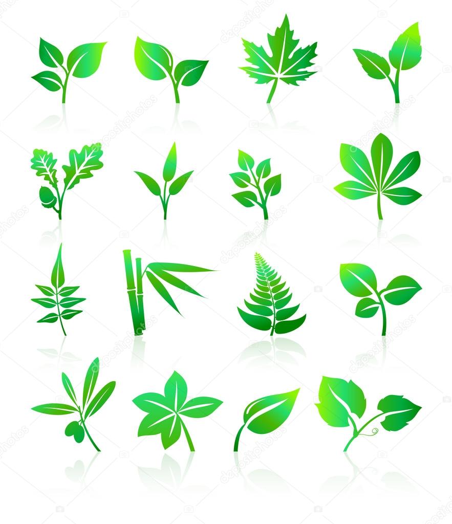 Green Leafs Icons