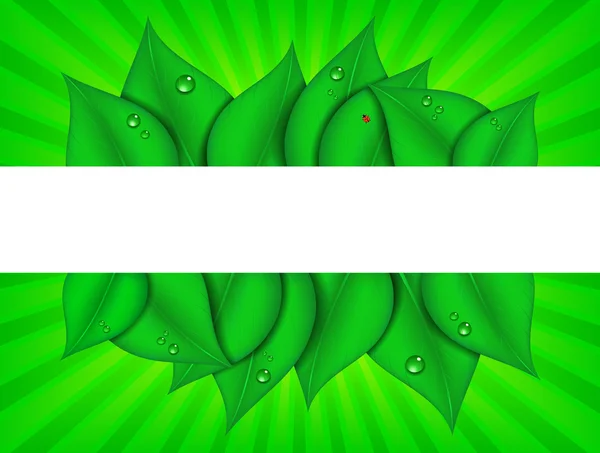 Зелёная графика с фоном для копирования — стоковый вектор