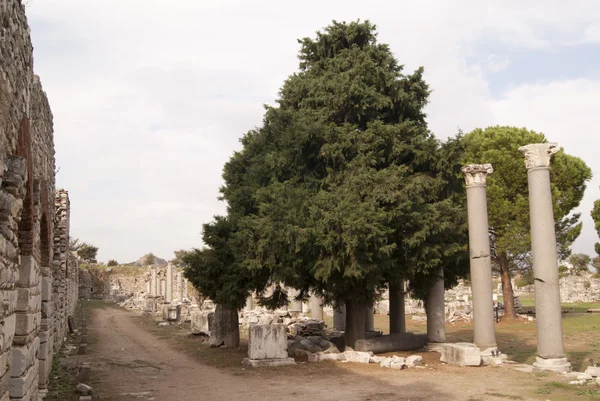 Az oszlopok Ephesus utca — Stock Fotó