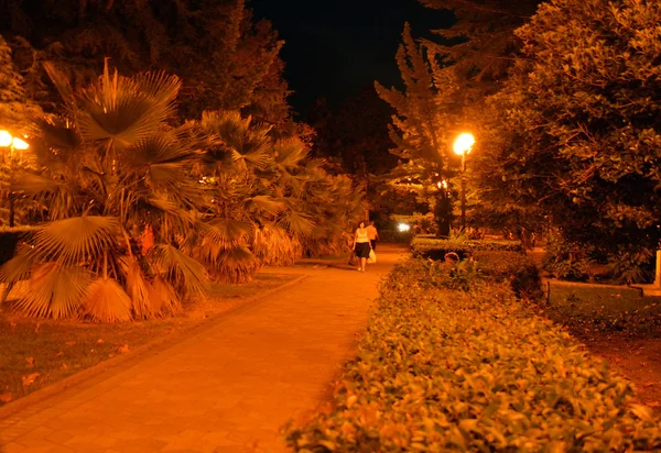 Parque de verano por la noche — Foto de Stock