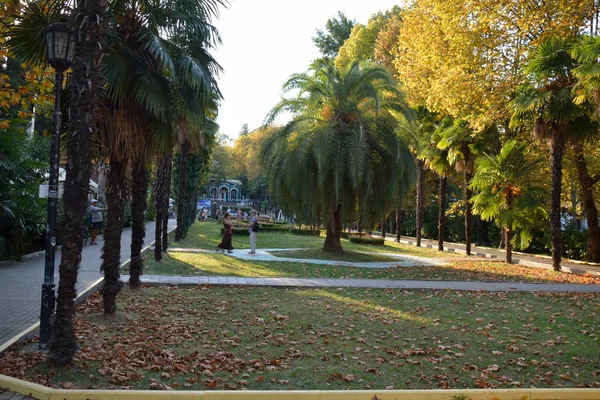 Parque Riviera en Sochi, Rusia — Foto de Stock