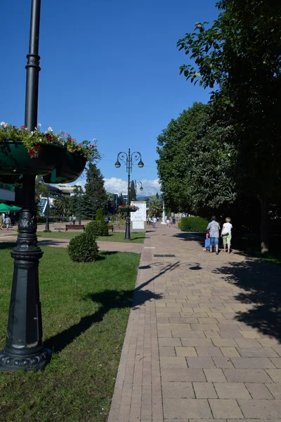 Алея в центральному парку Сочі — стокове фото