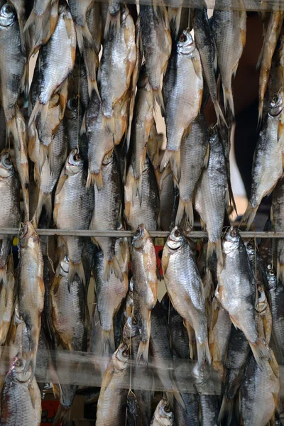 Pesce essiccato in vendita — Foto Stock