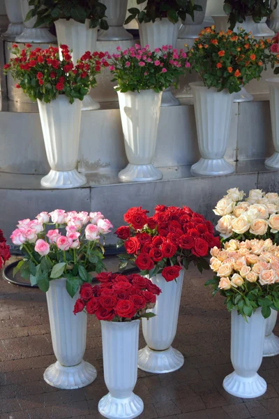 Rosas en ramos de flores de plástico — Foto de Stock