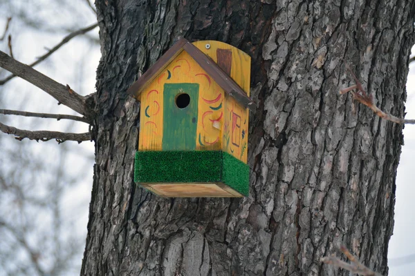 Ornata casetta gialla per uccelli sul tronco del parco — Foto Stock