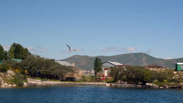 Küste des Sewan-Sees mit Häusern und Bergen — Stockfoto