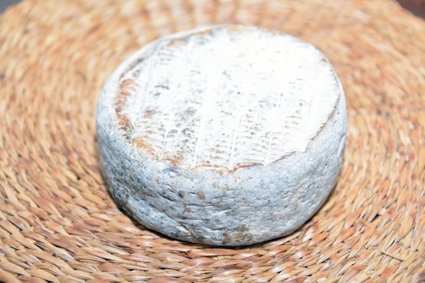 Circle of fresh cheese on the straw — Stock Photo, Image