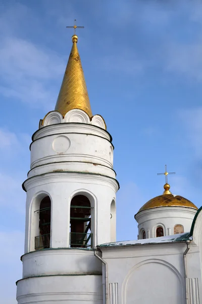 Domes of Transfiguration cathedral in Chernihiv — Stock Photo, Image