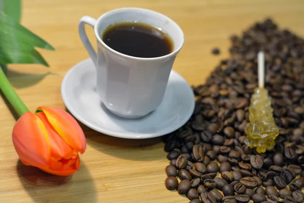 Café, grãos de café, flor fresca e pau de açúcar — Fotografia de Stock