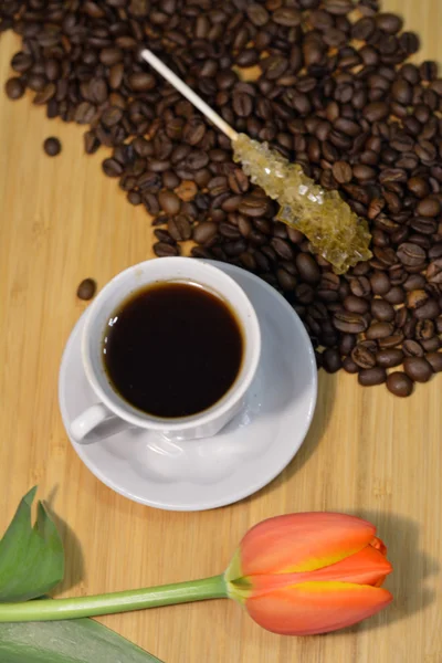 Coffee in a white cup, fresh tulip and coffee beans with a sugar — Stock Photo, Image