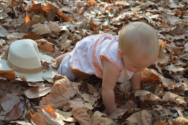 Un bel bambino striscia in foglie autunnali — Foto Stock