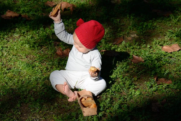 Toddler girl in the red hat with a rusk — Stock Photo, Image