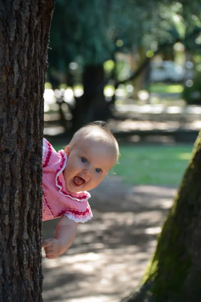 Маленька дівчинка за деревом — стокове фото