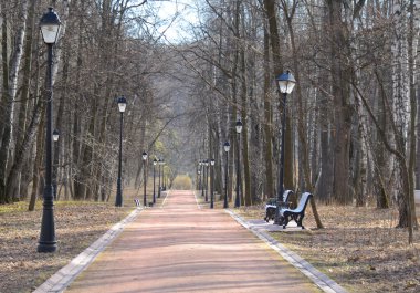 iyi bahar günü sokakta park