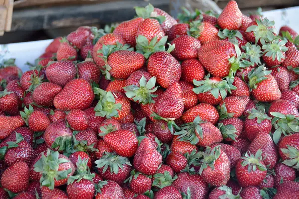 Fresas listas para la venta en un mercado local — Foto de Stock